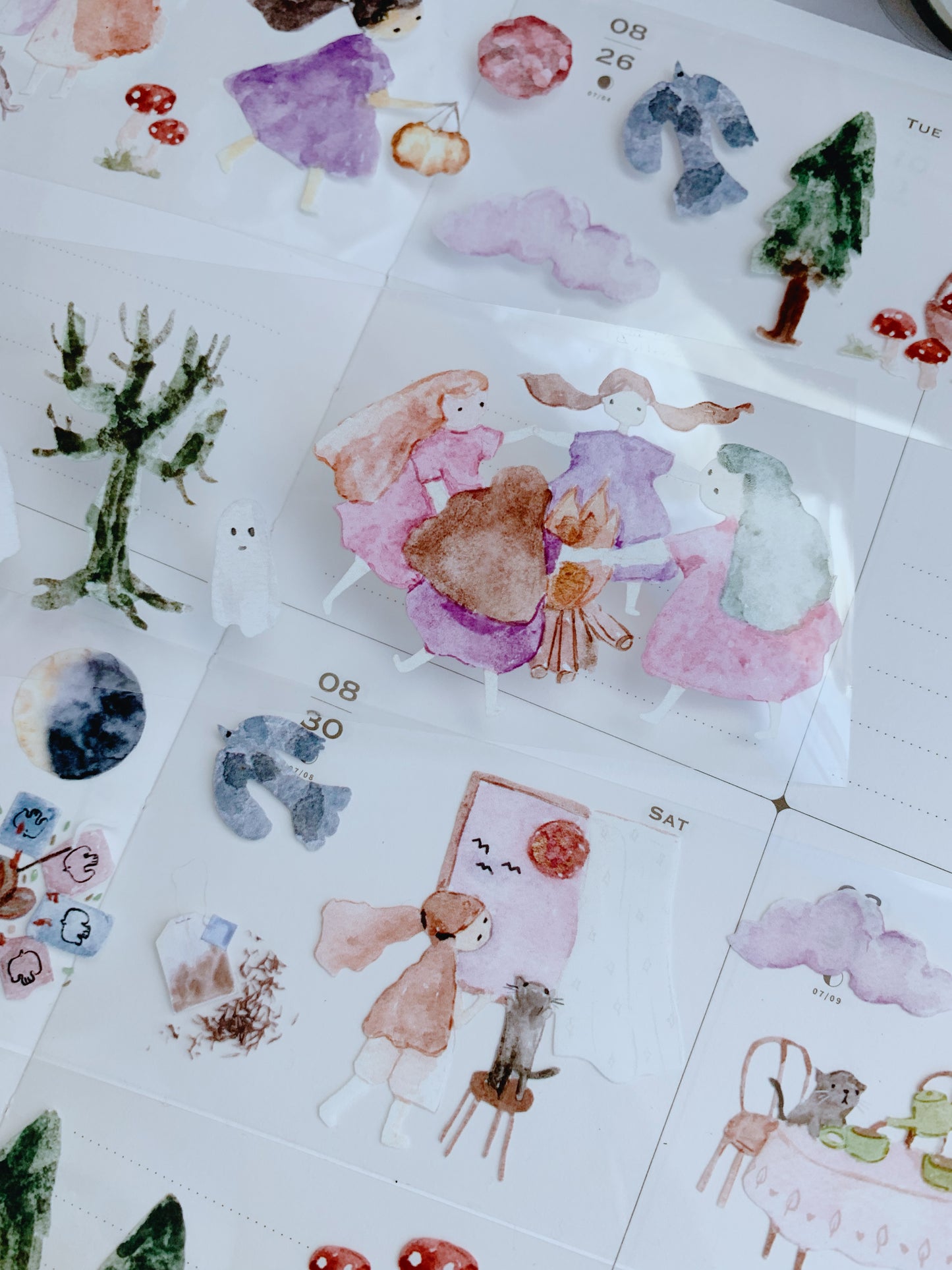 LITTLE LUNA Clear Pet Tape