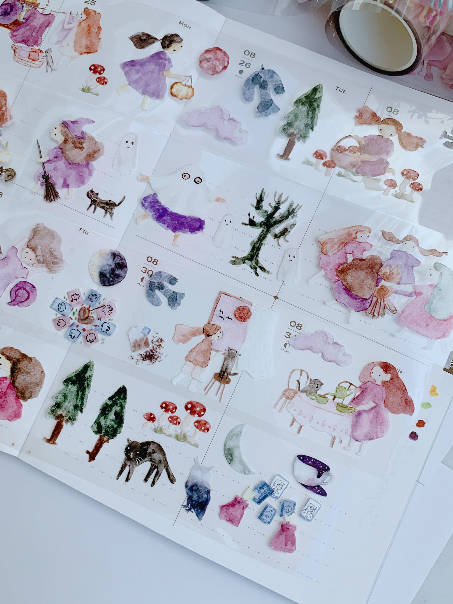 LITTLE LUNA Clear Pet Tape